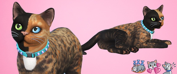 The Sims 4 Cats