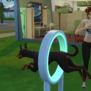 collar » Sims 4 Updates » best TS4 CC downloads