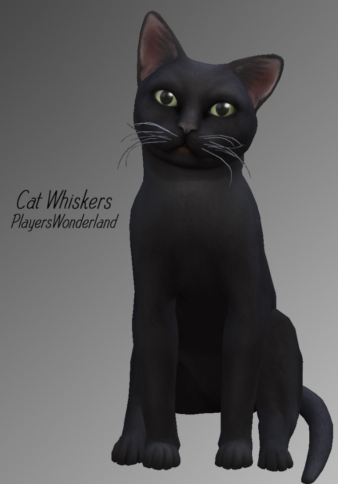 Cat whiskers at PW’s Creations » Sims 4 Updates