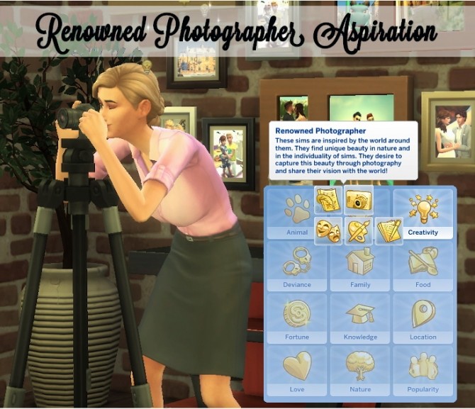 Renowned Photographer Aspiration by xbrettface at Mod The Sims » Sims 4