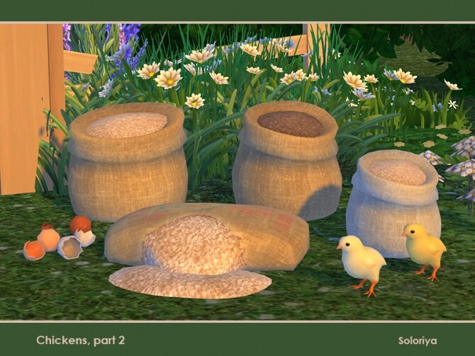 Chickens Part 2 By Soloriya At Tsr Sims 4 Updates