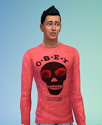 Obey Sweatshirt Set #1 at Sims 4 Sweetshop