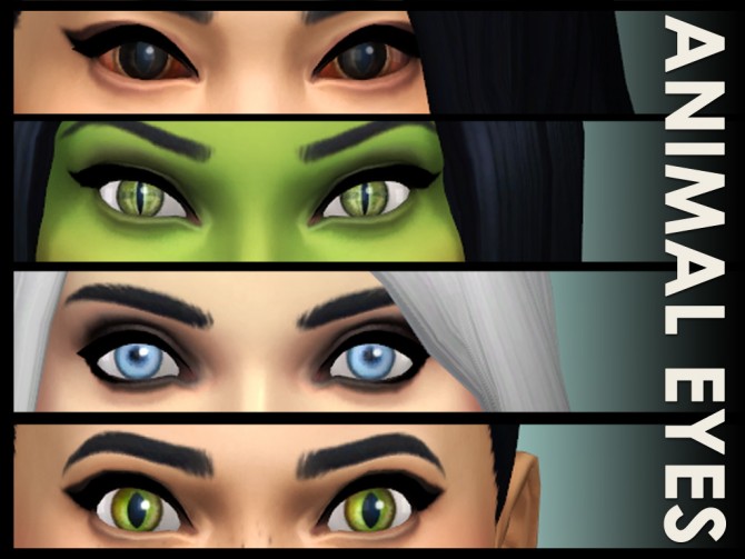 Sims 4 Animal Eyes at Simply Morgan