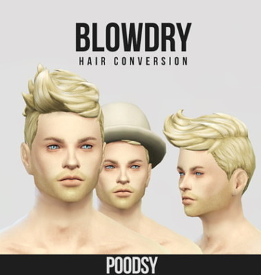 BlowDry hair conversion from female to male at Poodsy