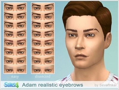 Adam realistic eyebrows at Sims by Severinka