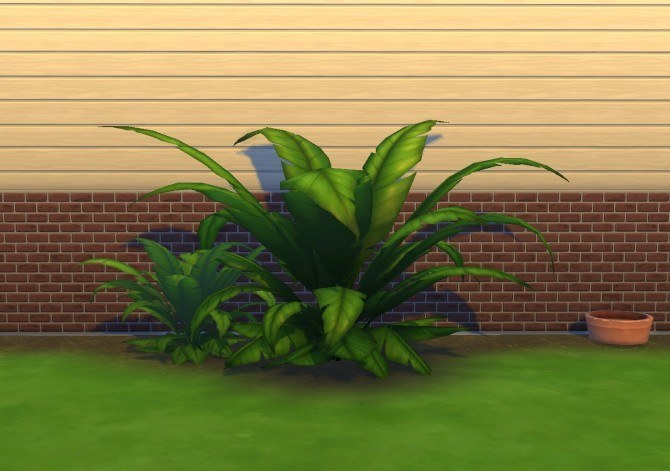 Sims 4 Liberated Plants by plasticbox at Mod The Sims