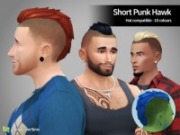 Short Punk Hawk for males at LumiaLover Sims