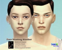 Face shading blusher at Tifa Sims
