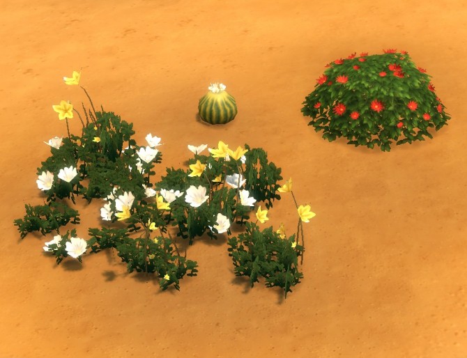 Sims 4 Liberated Desert Plants by plasticbox at Mod The Sims