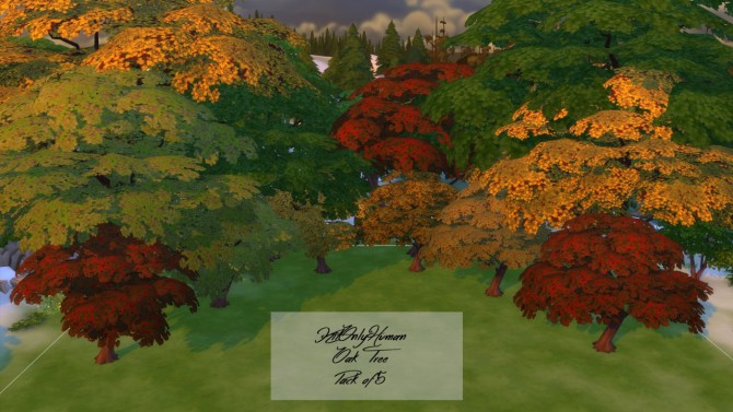 Sims 4 Oak Tree Fall Colors at KitOnlyHuman