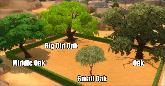 Sims 4 Unlocked Oak Pack (8 new trees) by Bakie at Mod The Sims