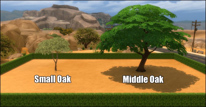 Sims 4 Unlocked Oak Pack (8 new trees) by Bakie at Mod The Sims