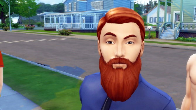 Sims 4 Abuelo Beard by kiwi sims4 at Mod The Sims