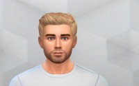 Dreamy Flip redone by Dellan at Mod The Sims