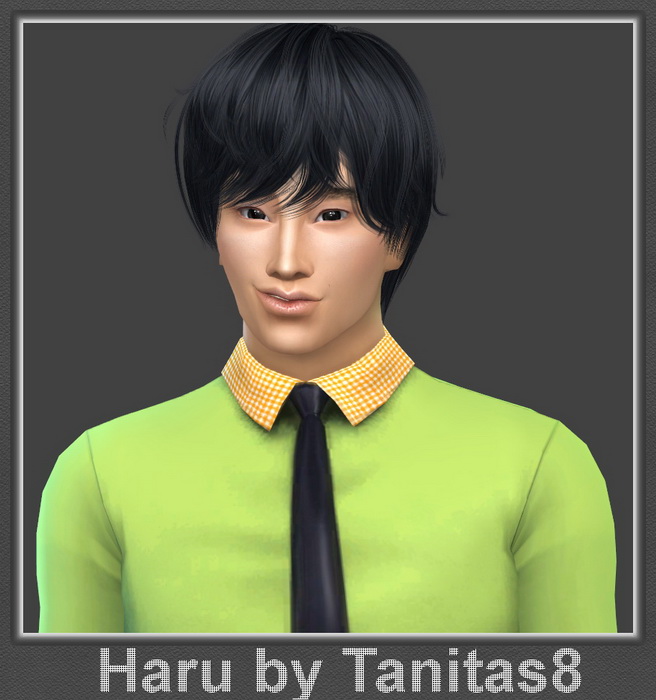 Sims 4 Haru at Tanitas8 Sims