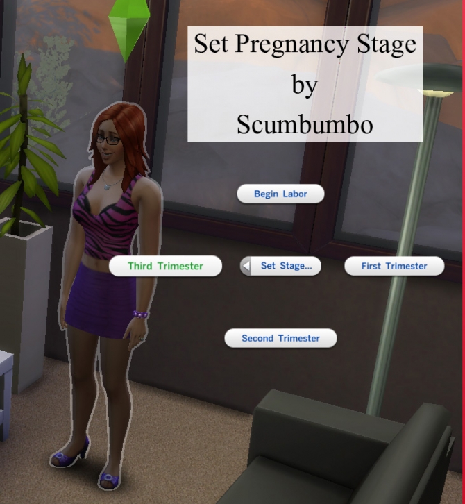 sims 3 pregnancy test mod