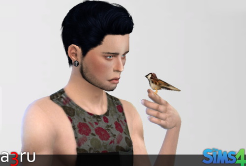 Sims 4 My Sparrow Friend (Accessory and pose) at A3RU