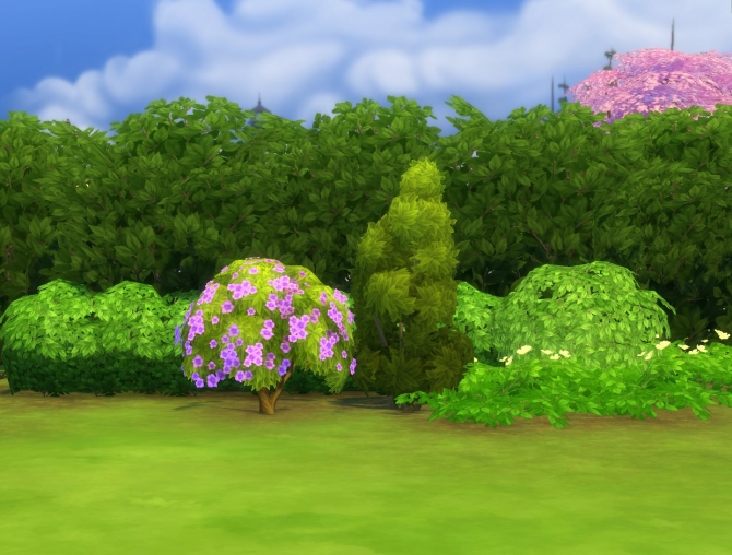 Sims 4 Liberated Shrubs by plasticbox at Mod The Sims