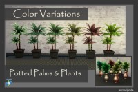 Potted Palms & plants by auntielynds at Mod The Sims
