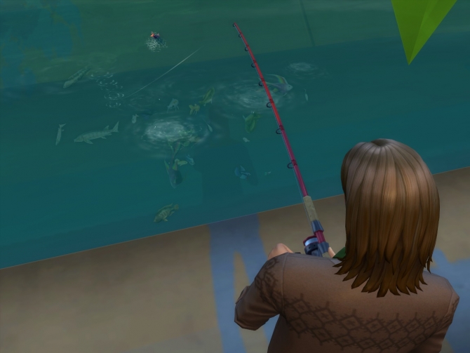 Sims 4 All Fish Available at Fishing Spots by Shimrod101 at Mod The Sims