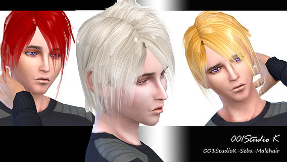Sims 4 SEBA Male Hair at Studio K Creation