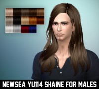 Newsea YU114 Shaine hair for males at Ritsuka