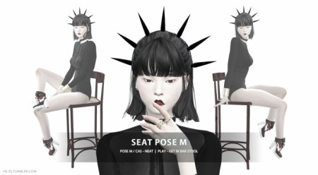 SEAT POSE M,D CAS&PLAY at HESS