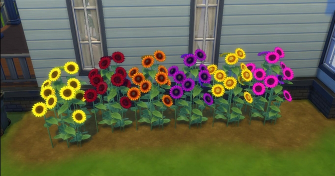 Sims 4 TS2 Sunflowery Shrubbery by AdonisPluto at Mod The Sims