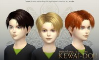 Levi’s hair for child male by Mia at KEWAI-DOU
