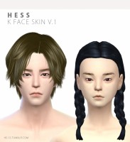 K face skin v.1 at HESS