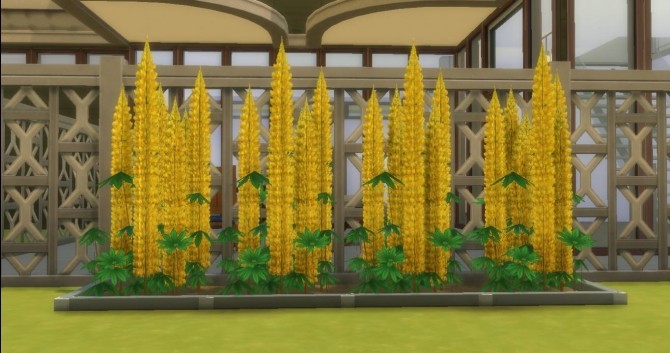Sims 4 Shrubby Lupin by AdonisPluto at Mod The Sims