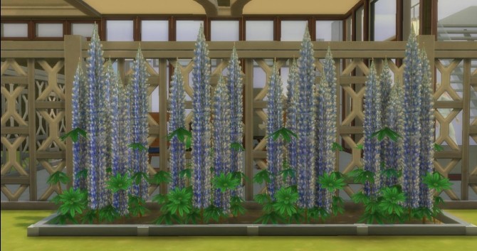 Sims 4 Shrubby Lupin by AdonisPluto at Mod The Sims