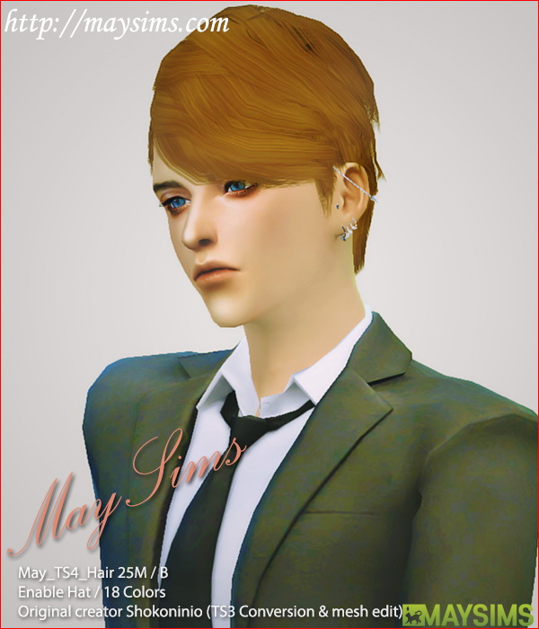 Sims 4 Hair 25/M (Shokoninio) at May Sims