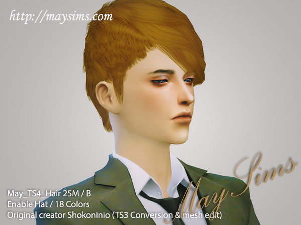 Sims 4 Hair 25/M (Shokoninio) at May Sims