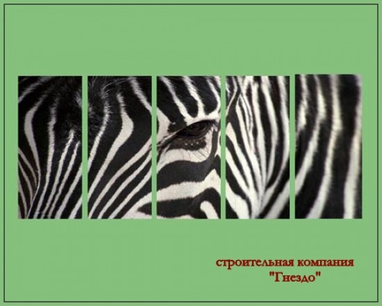 Sims 4 ZEBRA Wallpapers at Sims by Mulena
