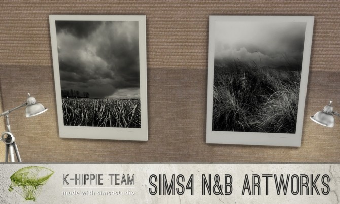 Sims 4 7 Artworks B&W Photography Nature Serie vol 1 at K hippie