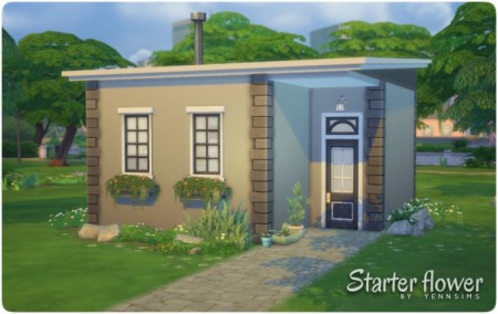 Starter Flower at Yenn