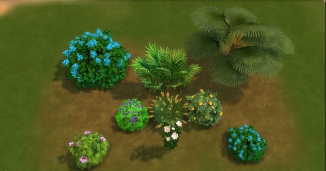 Sims 4 For The Outdoor plants by AdonisPluto at Mod The Sims