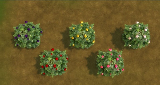 Sims 4 For The Outdoor plants by AdonisPluto at Mod The Sims