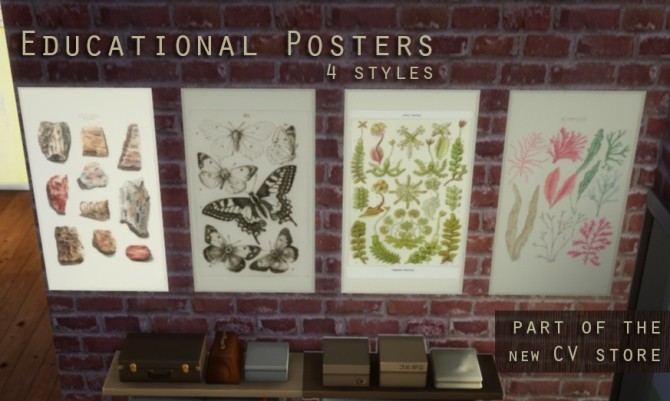 Sims 4 Educational posters at CallieV Plays