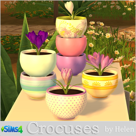 Sims 4 Crocuses flowers and pot at Helen Sims