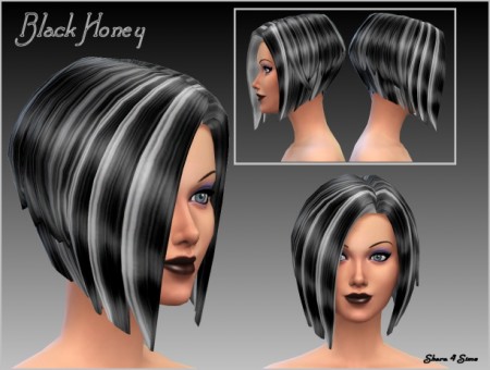 Black Honey Hair at Shara 4 Sims
