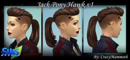 Jack pony’s hawk v1 at Crazy Mammoth