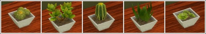 Sims 4 Awesims Moderne living + Mutske cactuses at Lina Cherie