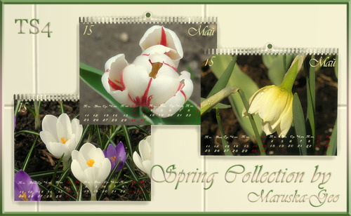 Sims 4 Spring Collection Calendar at Maruska Geo