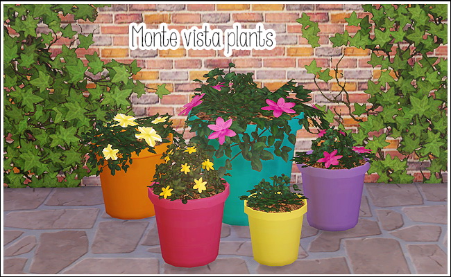 Sims 4 Monte Vista Peasant’s Potted Plants at Lina Cherie