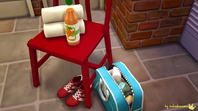 Sims 4 GYM Accessory bag + Deco at In a bad Romance