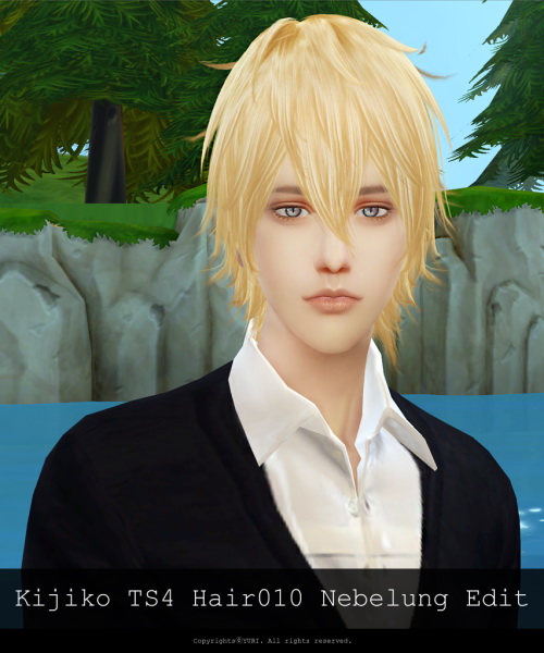 Sims 4 Kijiko TS4 Hair010 Nebelung Edit at Twinklestar Rg Veda