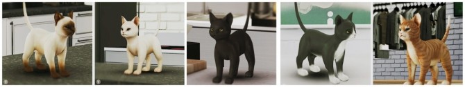 Sims 4 Kitty deco at Black le