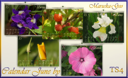 Sims 4 Calendar for June at Maruska Geo